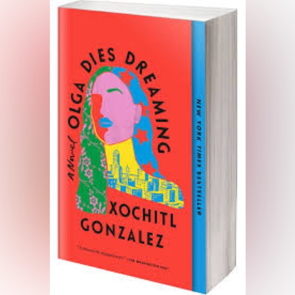COPY - 📖 Olga Dies Dreaming Book